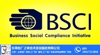 BSCI验厂全面解析 费用、流程与专业咨询服务指南
